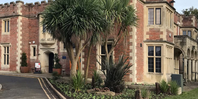 Hastings Museum & Art Gallery