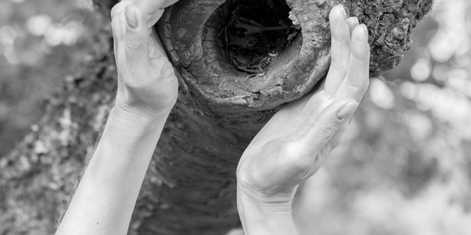 Diagnosis and Reconstructions