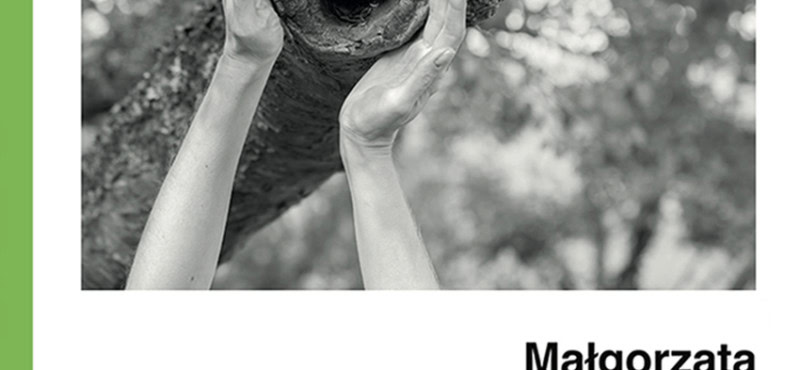 Diagnosis and Reconstructions