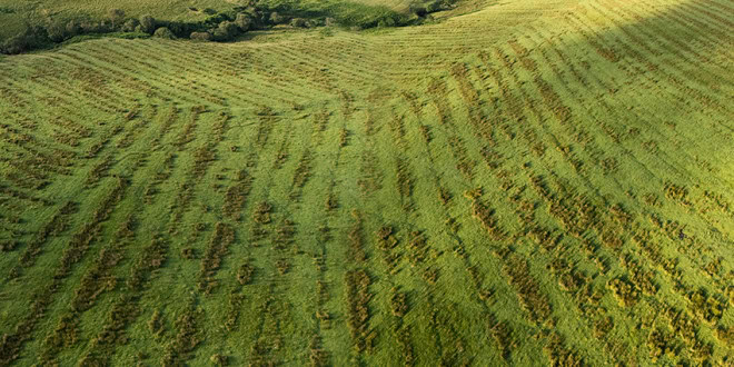 National Recovery Plan for Culture