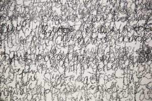 6I1A1633